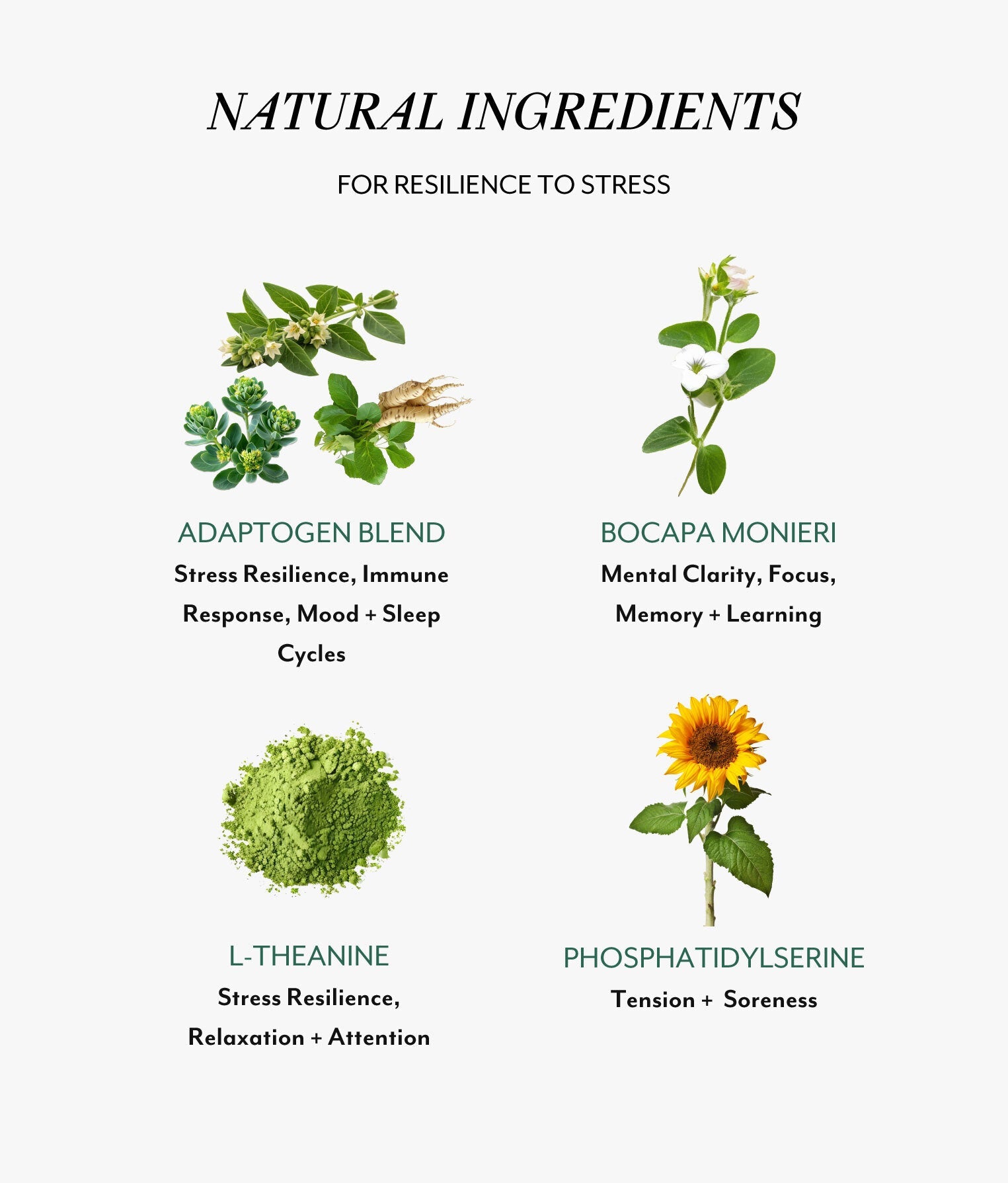 Cortisol Calming