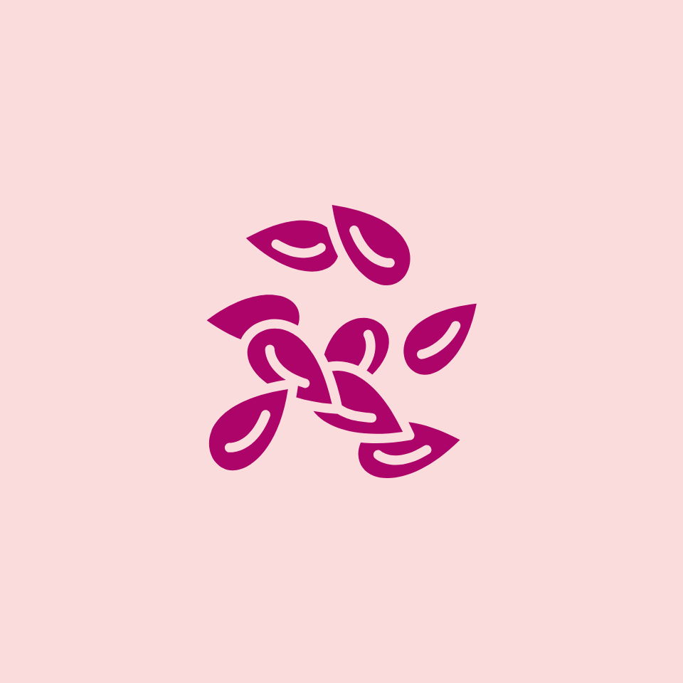 Illustration of flaxseeds on a light pink background