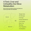 Gut Health Protocol