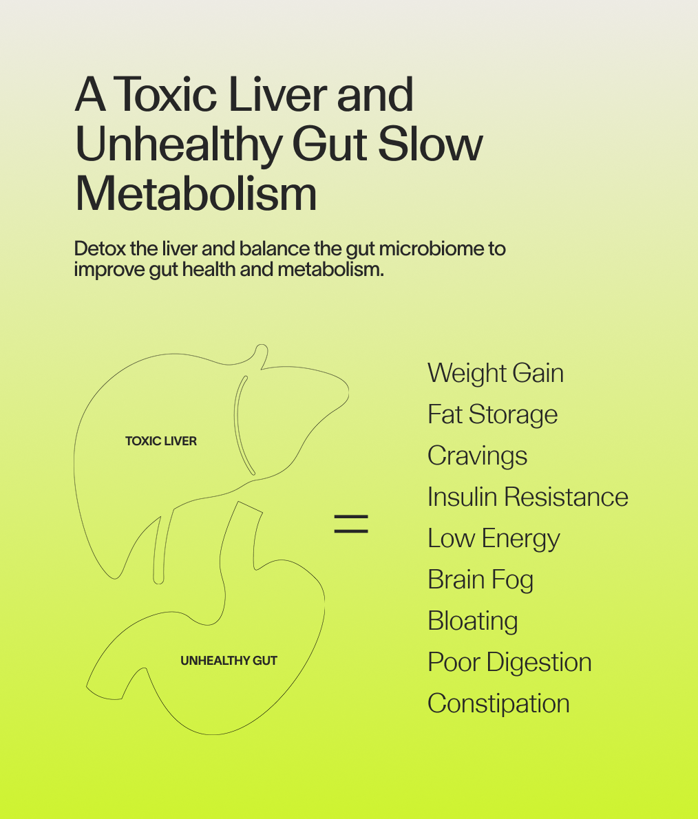 Gut Health Protocol