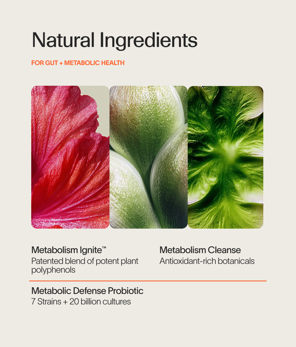 Gut Health Protocol