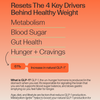 Metabolism + Power Protein Set