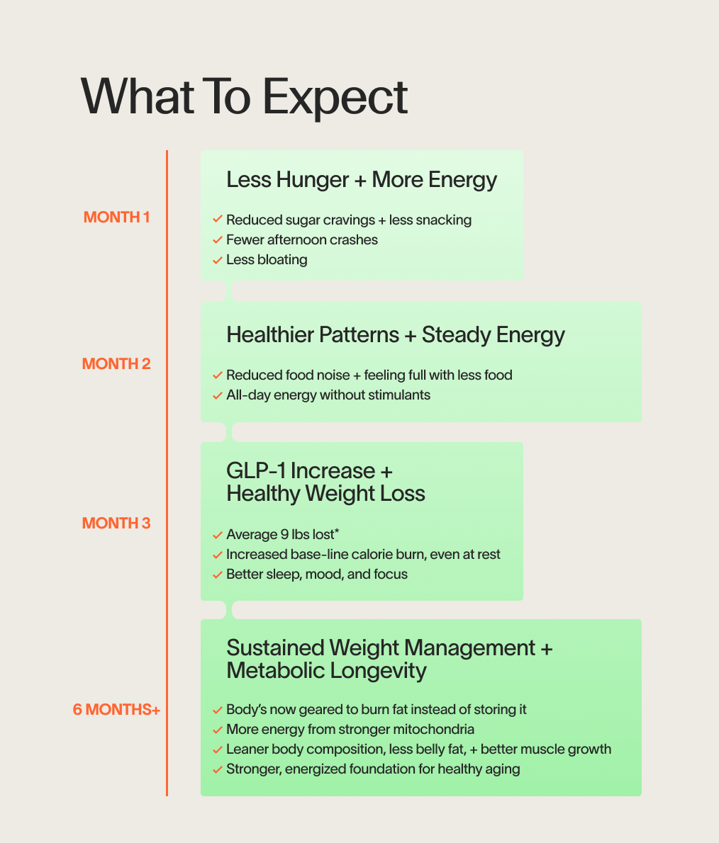 Metabolism + Power Protein Set