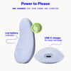 Pom Palm Vibrator