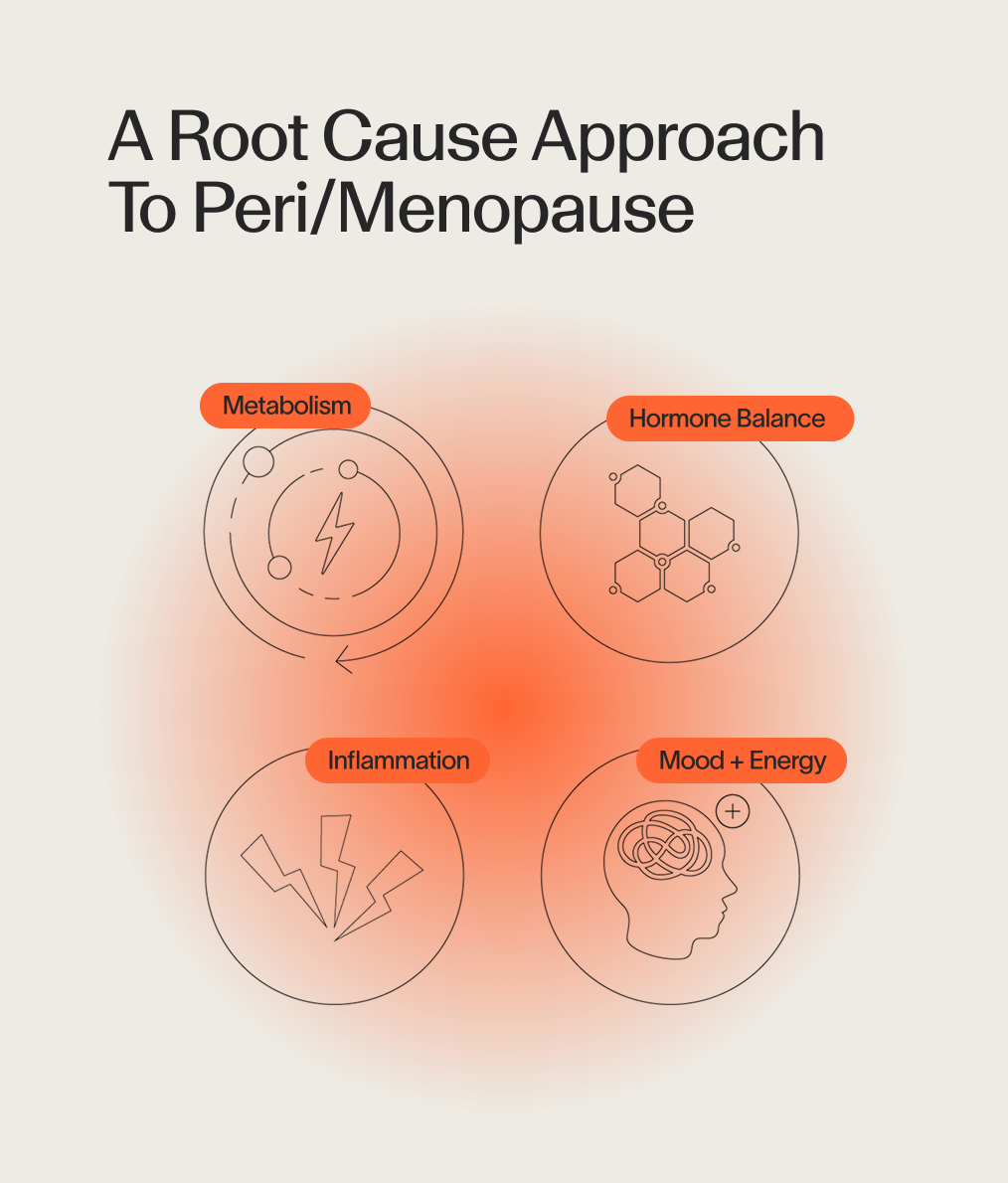 Perimenopause Protocol