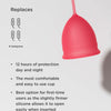 Saalt Cup
