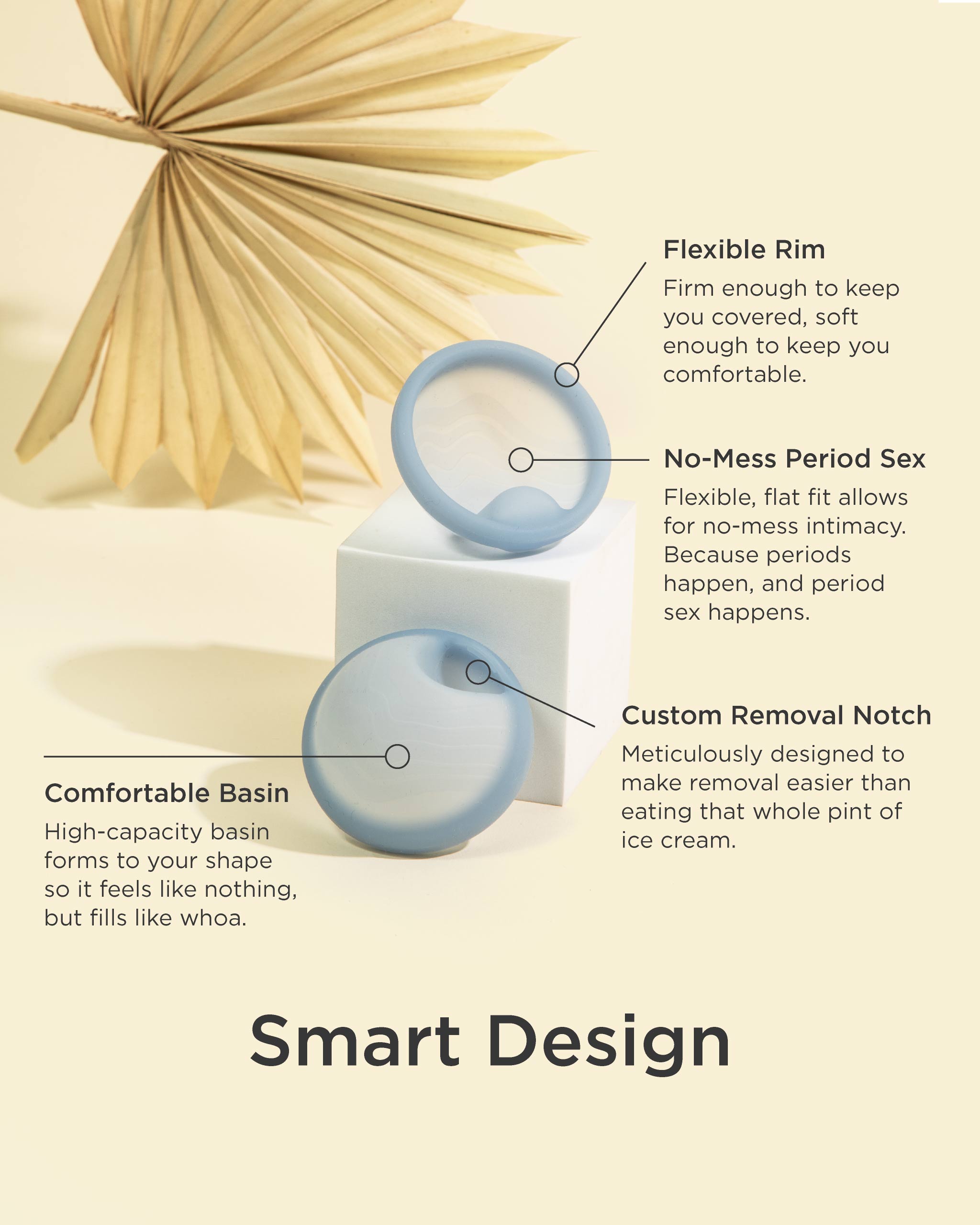 Saalt Disc