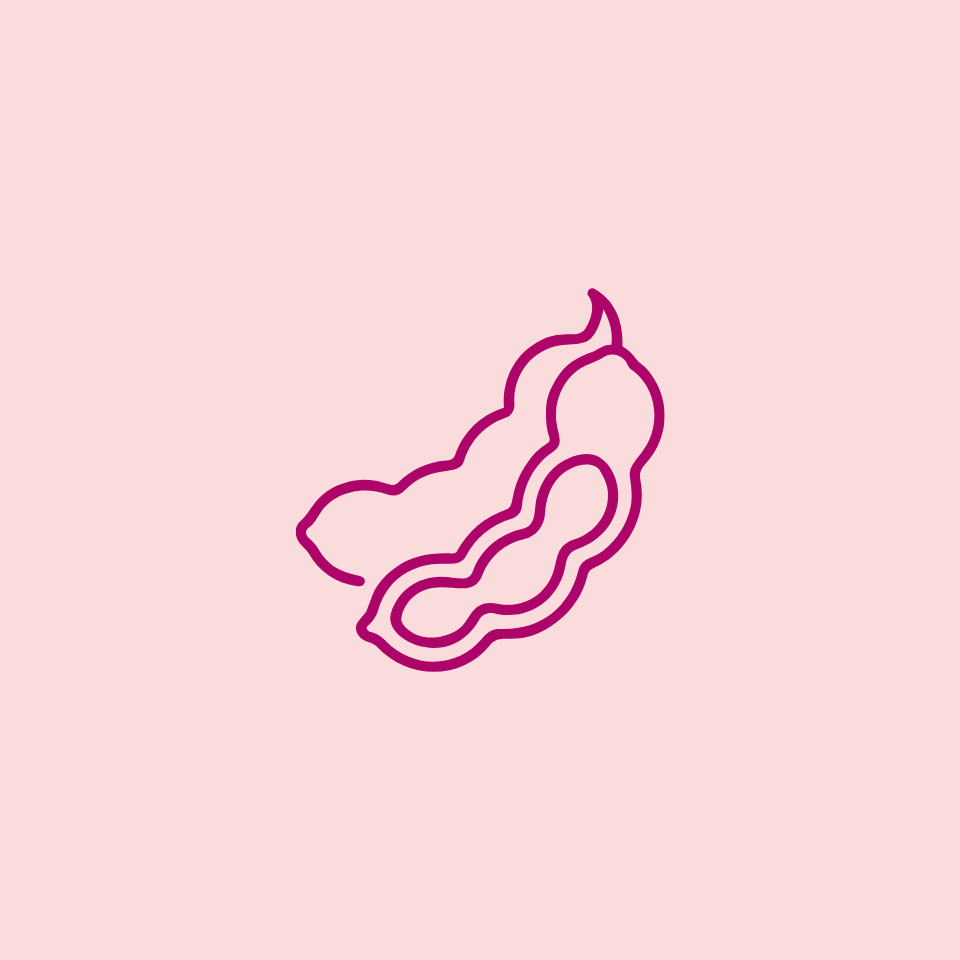 Icon of soy beans on a pink background