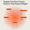 Weight Loss Protocol