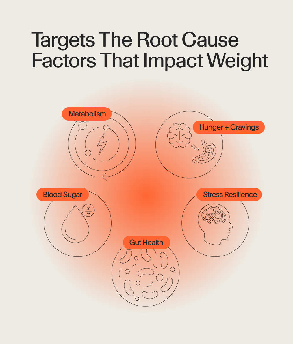 Weight Loss Protocol